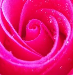 ARealPink Profile Image