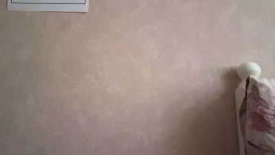 AracelisHatman's Profile