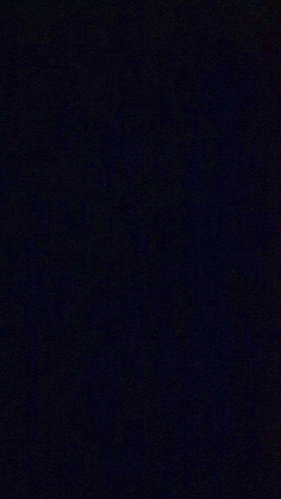 Beedszailed's Profile