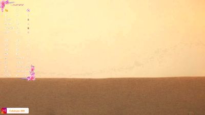 Cataleya_666's Profile