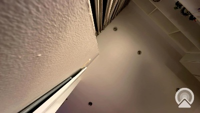 Flexy_Cat's Profile