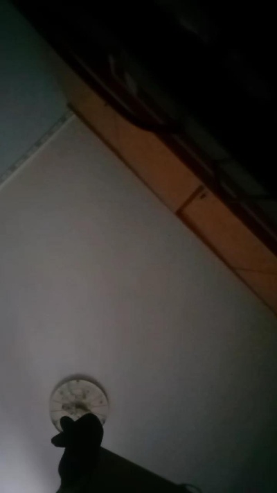 MatteoS845's Profile