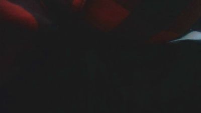 SAPIA_SEXUAL's Profile