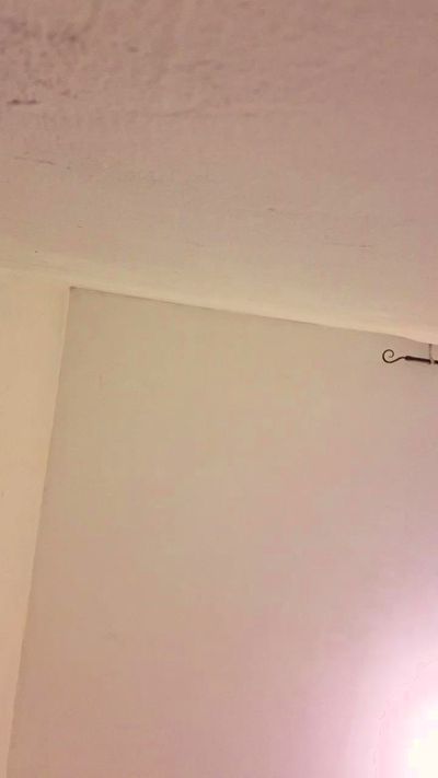 Salvatore954's Profile