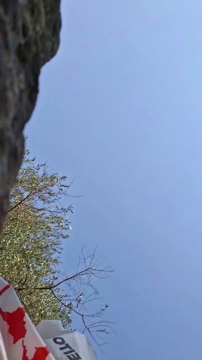 caralhodur10's Profile