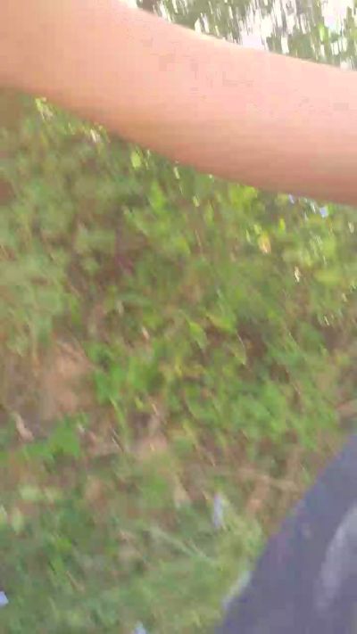 casal20251's Profile