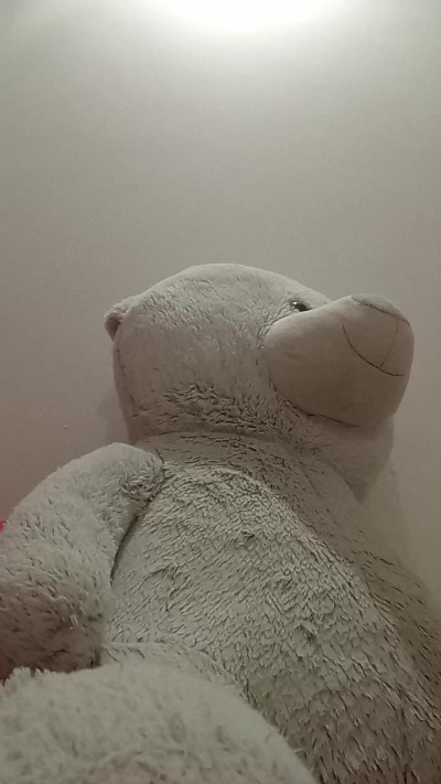 flavia184's Profile