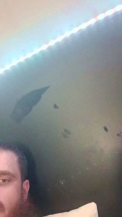 hungwell20's Profile