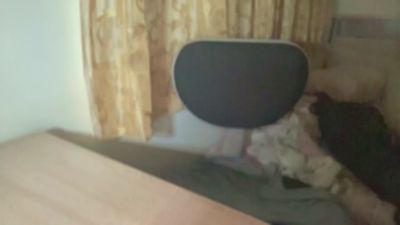lztrf's Profile