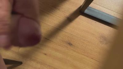 mykytoy's Profile