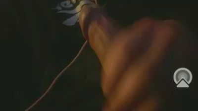 tastypuff999's Profile